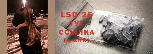 бошки Бородино