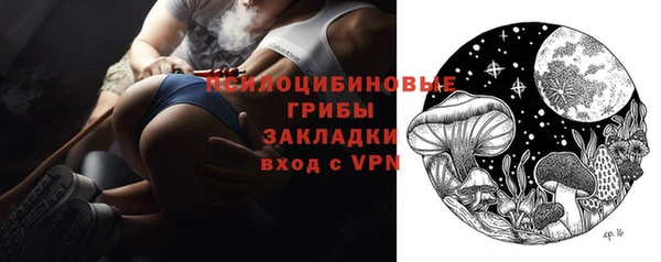 бошки Бородино