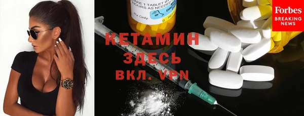 бошки Бородино