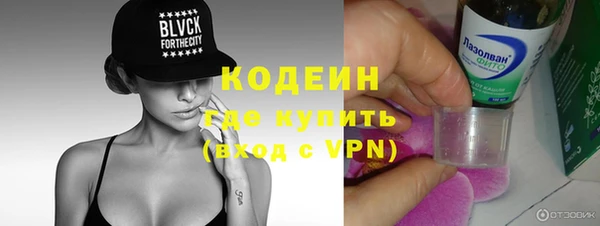 гидра Бронницы