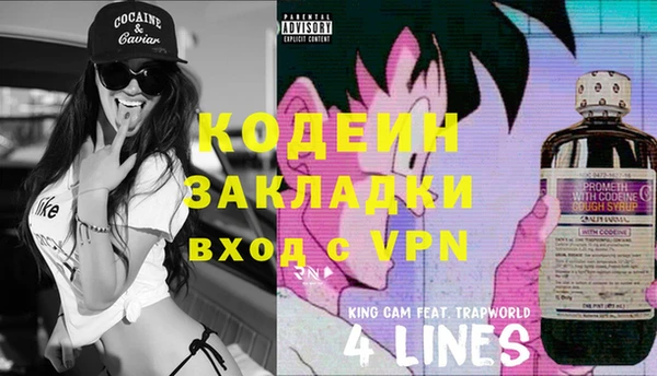 гидра Бронницы