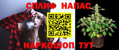 дурь Берёзовский