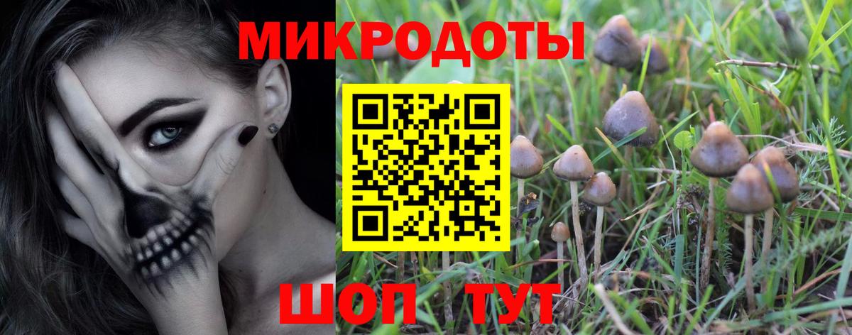 Галлюциногенные грибы GOLDEN TEACHER  Бузулук 