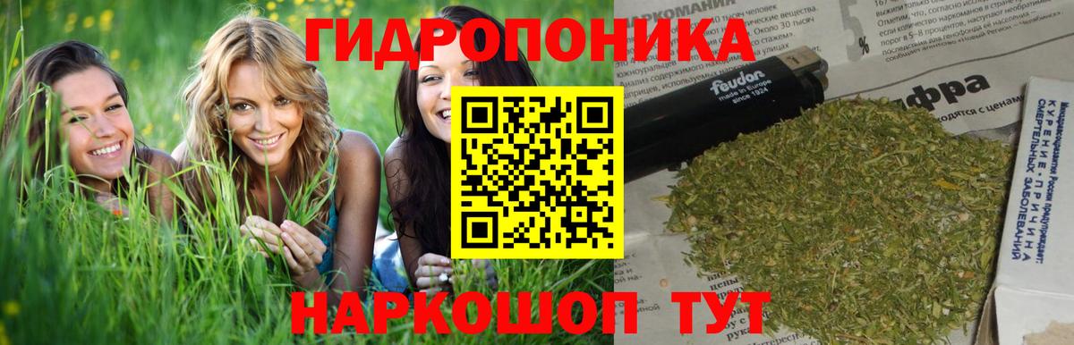 Конопля OG Kush  Шишки марихуана Bruce Banner  Бузулук  Бошки марихуана гибрид  Конопля план 